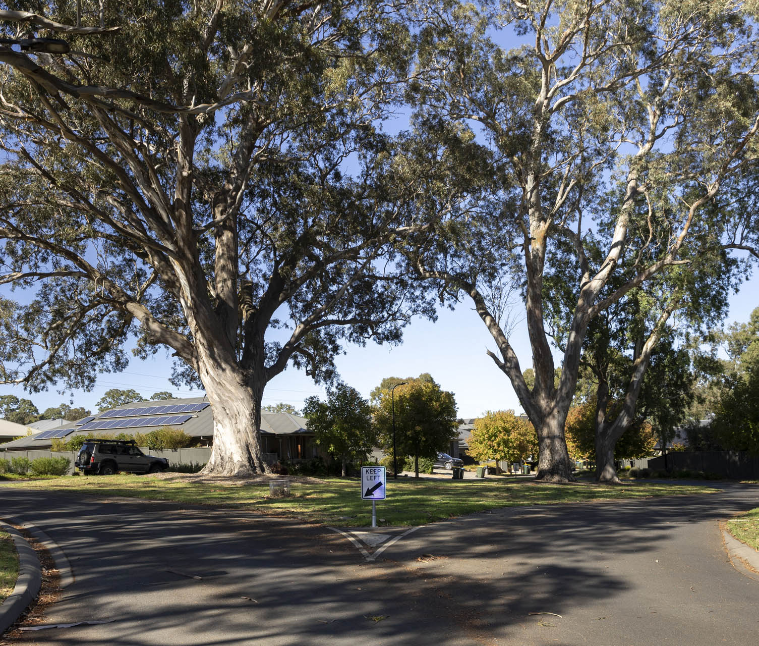 Newenham-1