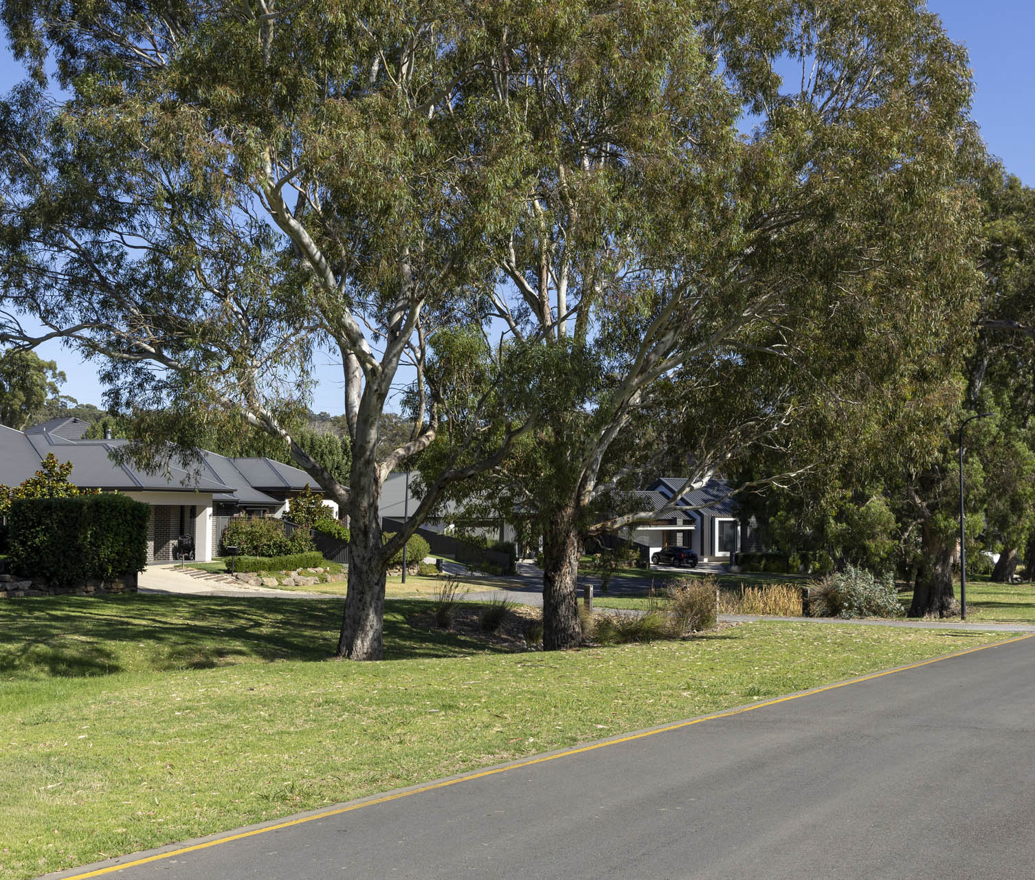 Newenham-3